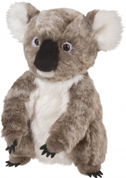 Cuddle Toys Koala „Aussie“ sitzend: Plüschtier Koalabär, Größe: 23cm